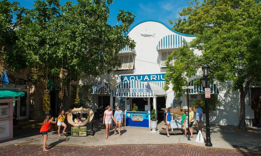 key west aquarium.jpeg