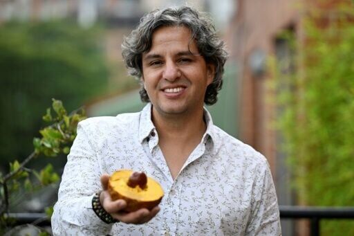 Daguer describes the lucuma as 'very dry' with a 'strong caramel-like flavor'