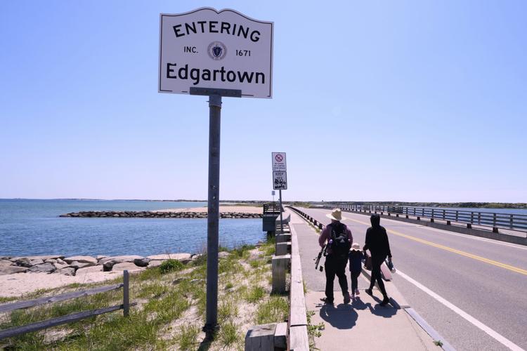 Jaws Anniversary Shark Swim