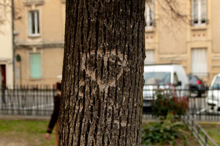 nawer-Zkk5NwAkA1E-unsplash